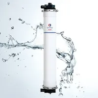 Pan Hollow Fiber Ultrafiltration Membrane Water Treatment System UF250