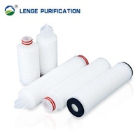 PES Pleated Membrane Filter Cartridge 10 Inch PES Filter 0.22 μM / 0.45 μM Cap 226 / 222