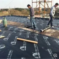 APP Modified Bitumen Waterproofing Membrane Bitumen Torch on Waterproofing Membrane