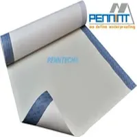 Self-Adhesive HDPE Waterproof Membrane for Construction/Building Material