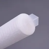Pes Cartridge 0.22 Micron Pleated Membrane for Ultrapure Water