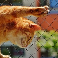 Stored Net Pet Safety Cat Net Pet Anti-escape Invisible Guardrail