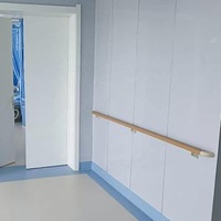Handrail for Elderly Hospital Wall Mounted 38mm Round Handrails
