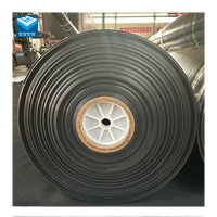 HDPE Geomembrane Liners 1mm 1.5mm 2mm LDPE LLDPE 3mm Plastic Membrane for Dam Liner Fish Pond Fish Farming Aquaculture Landfill