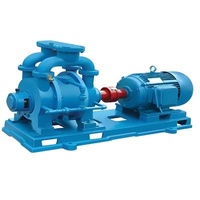 2BV/2SK Industrial Vacuum Pump With Explosion-Proof Enclosures For Safe Industrial