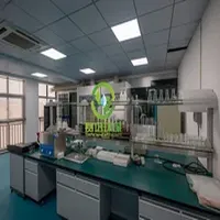 Support Customized Eptfe Membrane Air Filter for Filtration Dust Collector