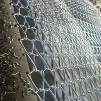 Food Grade 304 316 Balanced Spiral Egg Belt Conveyor Stainless Steel Wire Mesh Belting for Spring Rolls Pastry/Molde De Galletas
