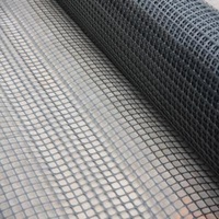 Polyester Composite Geo Grid Ground Grid Polyethylene Membrane