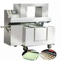 Pastry Bread Sandwich Hamburger Encrusting Filling Forming Arranging Processing Machine