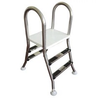 Factory Wholesale 2 Step Handrail Stainless Steel Pool Ladder For Swimming Pool