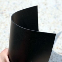 Professional Solution Fish Pond Liner HDPE Waterproofing Membrane for 3D Model Design