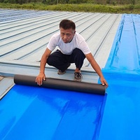 Modern Design Color Steel Self-Adhesive Roof Waterproofing Membrane SBS Material Strong Leak Repair Adhesive for Iron Sheet Tile