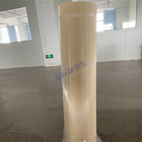 Polyphenylene Sulfide PPS Membranes Resin Support Mesh for Ion Exchange Process