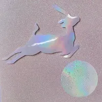 Holographic Film Factory Spot Pet PVC BOPP Cold Transparent Holographic Lamination Laminating Film