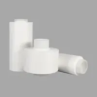 Advanced Hydrophilic Eptfe Composite Membrane for Industrial Applications