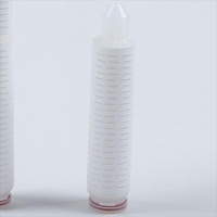 0.45μM 10" Pharmaceutical Filter Cartridge PES Membrane Filter Cartridge"