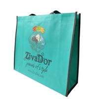 BOPP Laminated Matt Biodegradable 100gsm PP Non Woven Bag