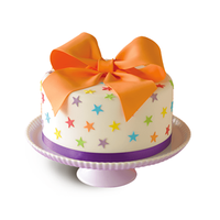 Premium Halal Certified Fondant Pastry Mix in Box Convenient Premix Sugar Paste for Creative Cake Topper Decoration
