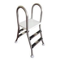 Factory wholesale 2 step handrail stainless steel pool ladder for swimming pool with plastic