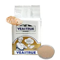 Wholesale Bakery Active Instant Dry Yeast 500g Halal Supplier Baking Powder Manufacturer for Swelling Fermentation Bread Dough Pastry