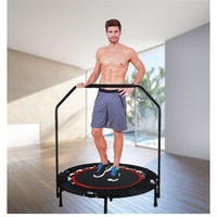 High quality Handrail trampoline