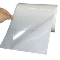 290mm Gloss BOPP Clear PP Transparent Jumbo Label Material Polypropylene Sticker Label Stock Roll PP Clear Jumbo Label