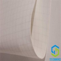 Anti Static PE Membrane Needle Punched Felt 550g/m2