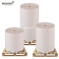 Flexography Best Quality Self Adhesive BOPP Films PET Film Flexo Jumbo Roll for Printing