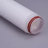 High Quality Hydrophilic Nylon Membrane Filter Cartridge Pleated Filter Grade Filtration Household Wine Filtration System