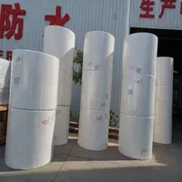 160g Non Woven Filament Polyester Mat Reinforcement for Bitumen Membrane