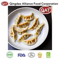 Fully Cooked Chicken Dumplings - Halal Pastry Snack for All