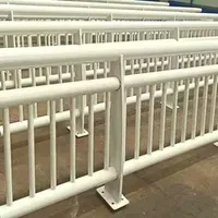 RSs-cb039 Safety Steel Bridge Traffic Guardrail
