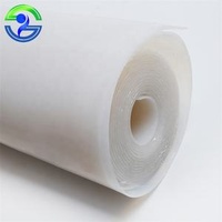 Sheet of Rubber Durable Vacuum Membrane Press White Silicone Rubber Sheet Roll