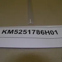 Elevator Parts for Kone Km5251786h01 Cover L=2400 Escalator Parts Handrail Lighting