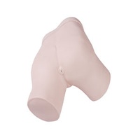 Medical Science PVC Enema Practice Model for Nurse Training Medical School CPR Manikin Use Trainee-friendly Medical Mannequin
