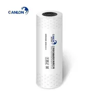 Canlon PVC Roofing Membrane Polyester Reinforced Roof Waterproofing Membrane