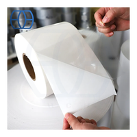 Transparent Large Roll Of Self-adhesive Label Raw Materials High Gloss Bopp Label Roll