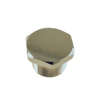 1/2 Inch Male Thread Chromed Brass Handrail End Caps Corrosion Preventive