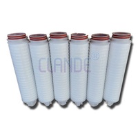 Water Final Filtration Polyethersulfone Pleated Membrane Filter Cartridges For Industrial