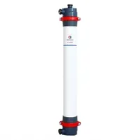 55m2 Ultrafilation UF Membrane Water Filter System UF-219