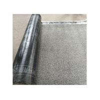 Mineral Granule Sbs Modified Bitumen Roofing Torch Rolls Waterproofing Membrane