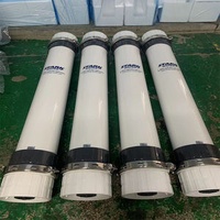 UF Membrane 0860 2T/H PVDF Membrane Uf with Hollow Fiber UF Membrane for Ultrafiltration Filter
