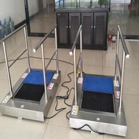 AC220 Kitchen Shoe Sole Cleaning Machine With Handrail , Cleaning By Water To Australia