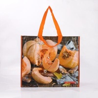 Eco - Friendly Recycled Laminated Polypropylene Handled Bopp Laminated Fruit And Vegetable Woven Shopping Bag