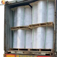 White Label Synthetic PP BOPP PET Inkjet Matt Silver Self Adhesive Thermal Label Paper Jumbo Roll