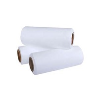 UNM Hydrophilic Membrane 0.2um PES Membrane for Serum Filtration