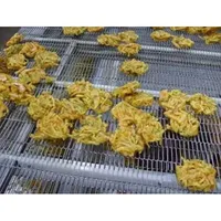 Source Factory Customized in Time Service Ss2205 Commercial Stable Fried Food Thick Pastry Mesh Belt for Food Conveyor