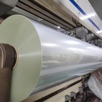 High quality rough exterior holographic film BOPP (RP, RPP) capacitor film with one side or both sides rough surface for impregnation