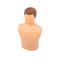 Adult Half-Body PVC CPR Manikin for Medical Science Training in Schools and Hospitals First Aid Training Model