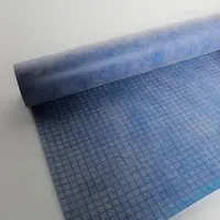ANSI Standard 0.6mm PP PE Composite Waterproof Membrane for Roof and Wall